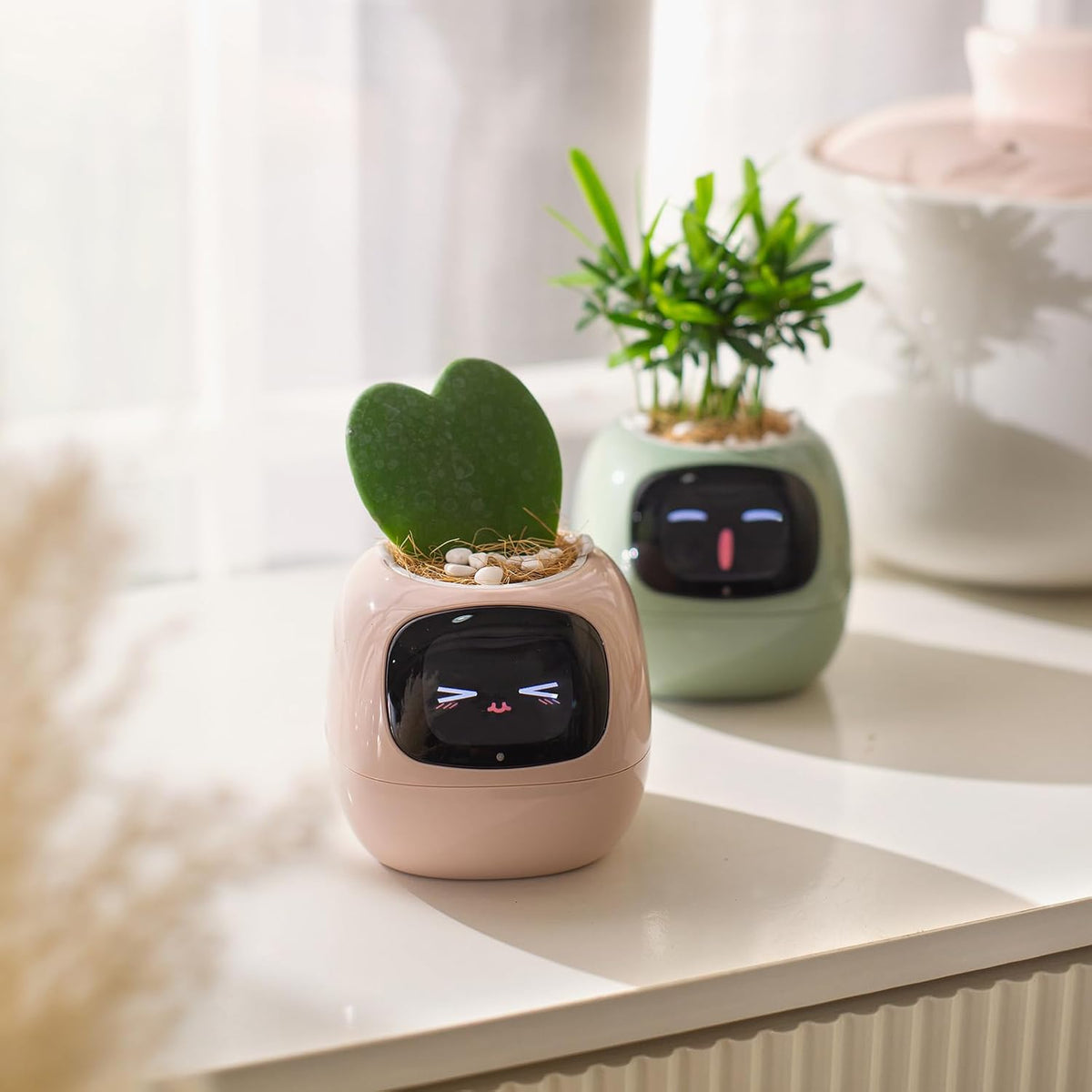 Smart Pet Planter by Sarphire